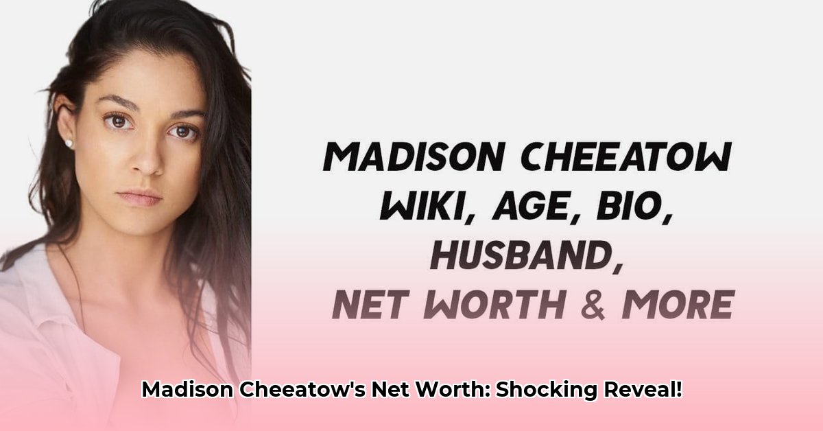 madison-cheeatow-net-worth